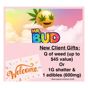 *** NEW CLIENT PROMOTION *** 