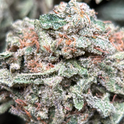 (28G) - Purple Snake 🐍⛽Indica | Bulk Deal for $200 thumbnail 3