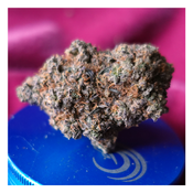 *NEW* JetLato (7g-$50/14g-$75/28g-$140)(30% THC) thumbnail 3