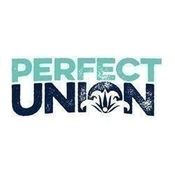 Perfect Union Shasta Lake
