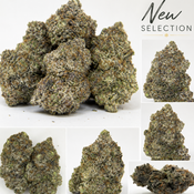 Canna-Corp-Canada.com