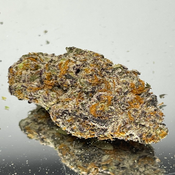 "Premium Exotic" Platinum Widow - Hybrid 60% Indica/40% Sativa - THC 30-35%
