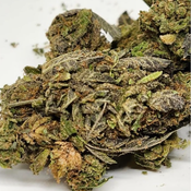 Granddaddy Purple AAA