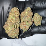 Ice Cream Cake | 21-25% THC | SATIVA | $55 OZ | $90 / 2 OZ thumbnail 3