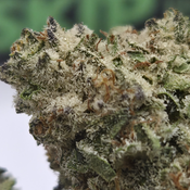 (NEW) Kandy Kush 🔥Sale $70/Oz 2oz for $120 4oz for $220🔥!!