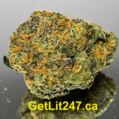"Premium" Island Sweet Skunk - Hybrid 60% Sativa / 40% Indica - THC 30%
