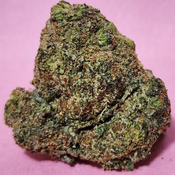 (Exotic) Pink Willy Wonka 🔥 ⛽️ 