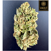      MAUI WOWIE (AAA) / 14g