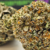 (NEW) Pink Poison ☣️🥀 ($175/Oz) 🔥  