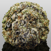 !! MIKE TYSON KO 39%THC *SUPER EXOTICS* EXOTICS $200/OZ (2OZ$400)