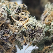 (NEW) Jokerz Candy 🤡🍬 ($115/Oz 🔥 🔥)