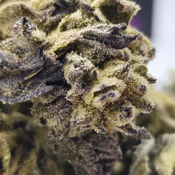 (NEW) Blizzard Cookies 🍪  ($70/Oz) 🔥  thumbnail 4