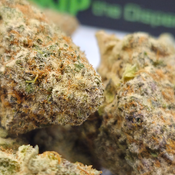 (NEW) Orange Creamsicle 🍊 (On Sale $120/Oz)