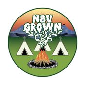 N8V Grown - Box Elder