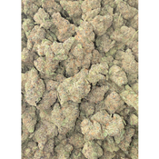 ANIMAL CHEMO thumbnail 3