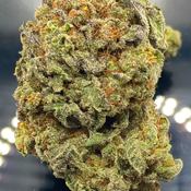 *NEW* Double Dream 3A