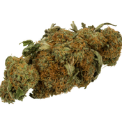 AAA - AAAA Cannabis Bud