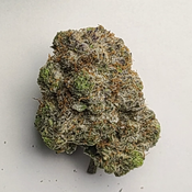 Pink Goo ⛽️ Cali Bricks 