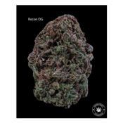 AA – RECON OG – $40-OZ