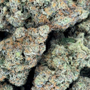 ***ON SALE*** Godfather OG (Premium Craft Gas) *New Batch*