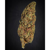 Blue Dream