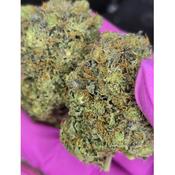 666 Casino Kush