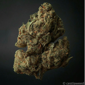 KHALIFA KUSH