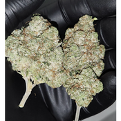 Lemon Goo 4A🍋 **$145 oz, $80 h/o**