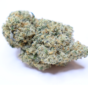 GREASE MONKEY AAA+  thumbnail 1