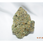 Acapulco Gold Sativa Dominant Hybrid AAAA+