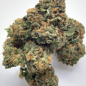  *NEW* Fire Alien Romulan 3A