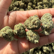 CATARACT KUSH 12OZ 2FOR220 4FOR420 thumbnail 2