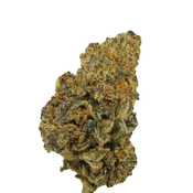 BC (AAA)  GREEN CRACK