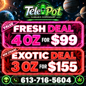 Telepot