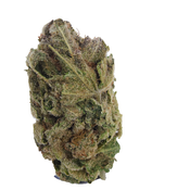 BC (AAA) HINDU KUSH (