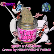 PINKY & THE BRAIN⛽🔥🔥🔥🔥🔥  