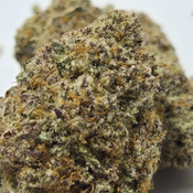 (NEW) Purple Afghan 🟪🇦🇫  ($140/Oz) 🔥  thumbnail 2
