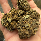 !$25/oz All gas ( budget weed )