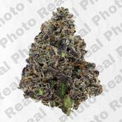 Black Truffle - Topshelf Indoor - New Drop - Indica