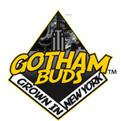 Gotham Buds - Harlem