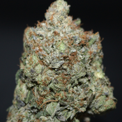 AAAA+ | COUCH LOCK BY GAS GARDEN - 3.5G