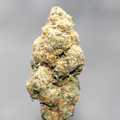 { Apple Fritter } ~ HIGH QUALITY  ~ 2OZ FOR $200