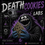 DEATH COOKIES🔥🔥🔥🔥🔥 