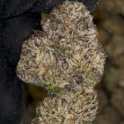 Brass Knuckles Kraft 🥊 INDICA 30-34% THC $130 an oz, $190 for 2 ozs thumbnail 2