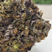 (NEW) Deadman Walking 💀🥀 ($200/Oz) 🔥  thumbnail 2