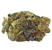 Great White Shark, High Five thumbnail 1