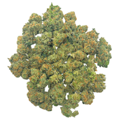 AAAA Alien Gorilla