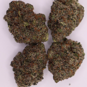 AAA Cali Platinum 2OZ for 145