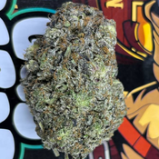  🏆⛽ | DEATH COOKIES BY GAS GARDENS - 7G