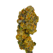 BC (AAA+) PURPLE CANDY thumbnail 4